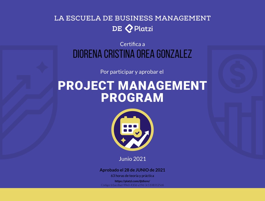 Diploma de Project Management Program