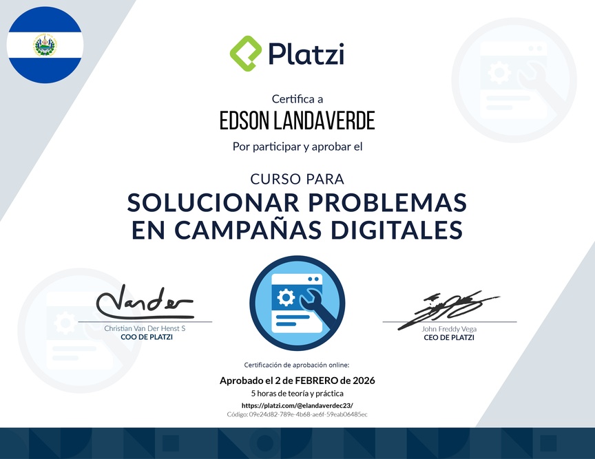 Diploma del Curso para Solucionar Problemas en Campañas Digitales