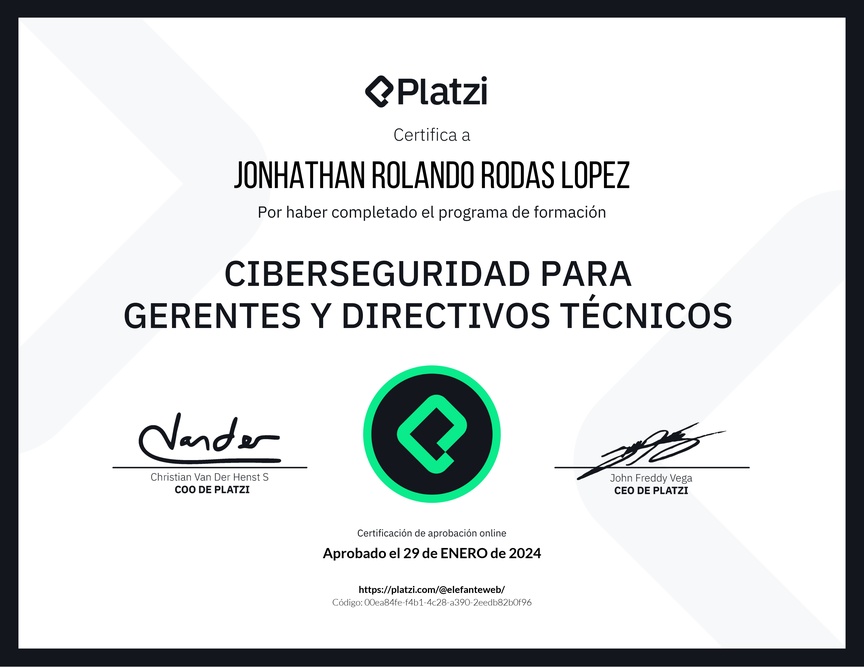 Diploma de la Ruta de Aprendizaje de Ciberseguridad para Gerentes y Directivos