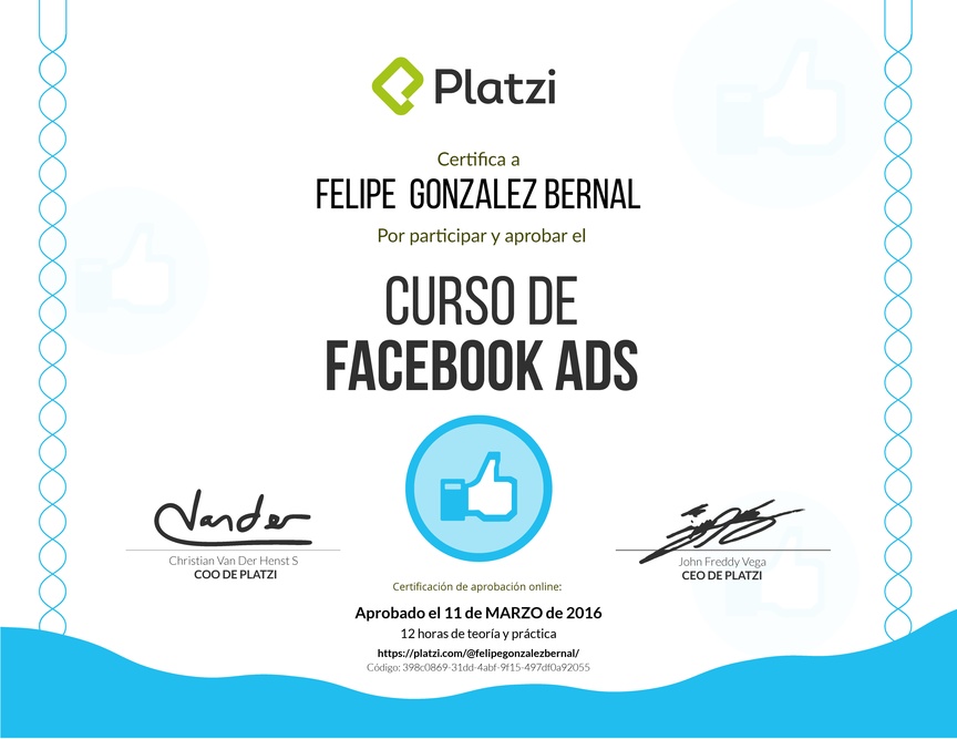 Diploma del Curso de Facebook Ads 2015