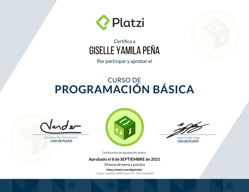 Diploma del Curso Básico de Programación