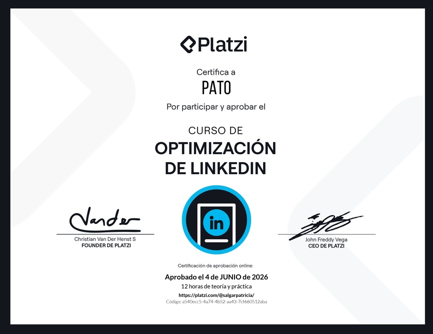 Diploma del Curso de Optimización de LinkedIn